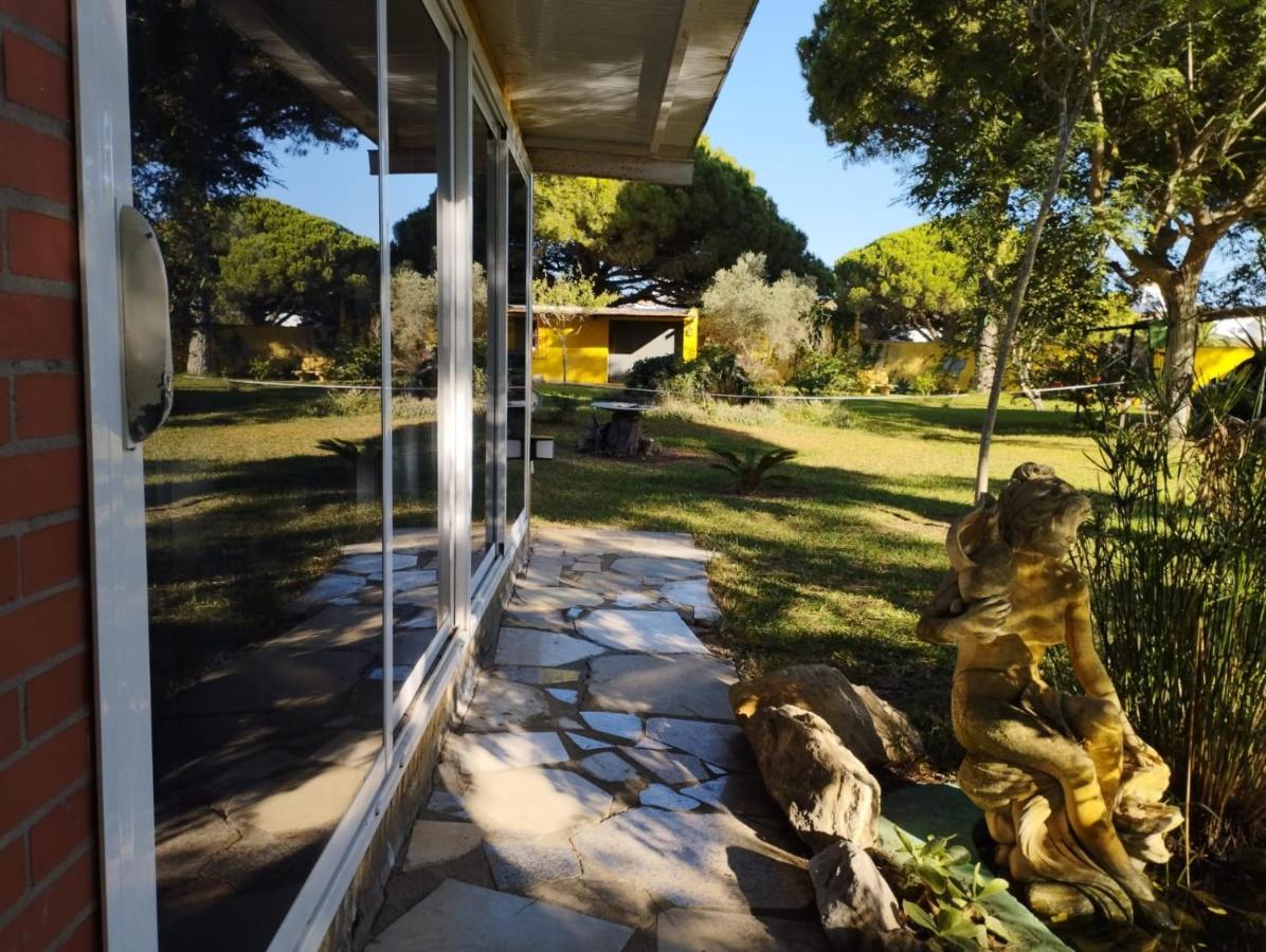 Jacaranda Apartment Cadiz Exterior photo